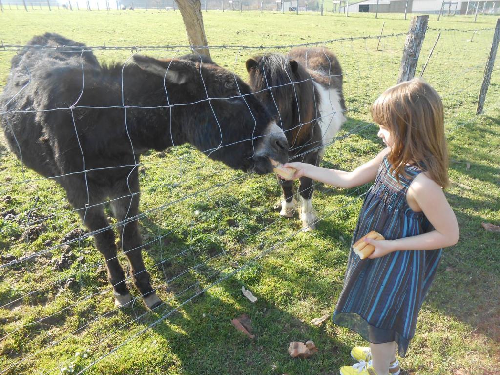 La Ferme Des 3 Suissesses Bed & Breakfast Saint-Paul  Eksteriør bilde