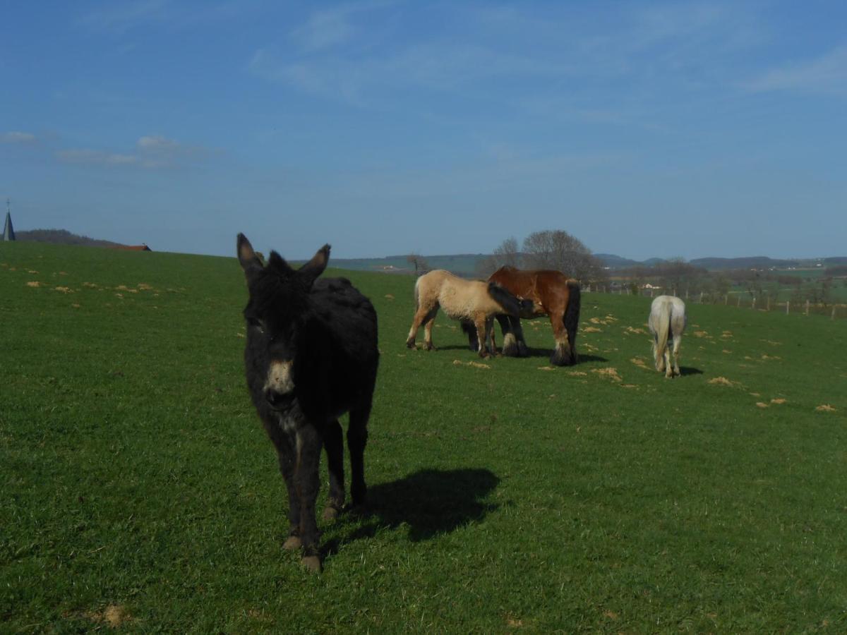 La Ferme Des 3 Suissesses Bed & Breakfast Saint-Paul  Eksteriør bilde